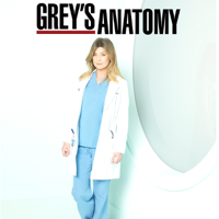 Grey's Anatomy - Grey's Anatomy, Staffel 9 artwork