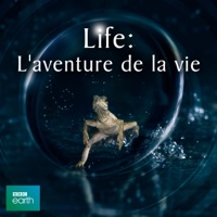 Télécharger Life, Life: L'aventure de la vie Episode 7