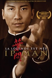 Ip Man : La Légende est née