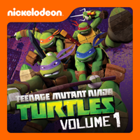 Teenage Mutant Ninja Turtles - Teenage Mutant Ninja Turtles, Vol. 1 artwork