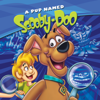 A Pup Named Scooby-Doo - A Pup Named Scooby-Doo, Season 1 artwork