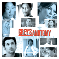 Grey's Anatomy - Grey's Anatomy, Season 2 artwork