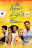 The Secret Life of Bees - Gina Prince-Bythewood