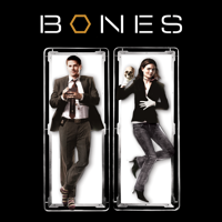 Bones - Bones, Staffel 2 artwork