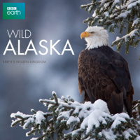 Wild Alaska - Wild Alaska artwork