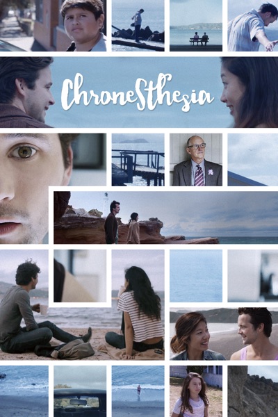 Chronesthesia Poster