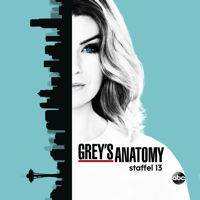 Grey's Anatomy - Grey's Anatomy, Staffel 13 artwork
