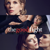 The Good Fight - Inauguration artwork