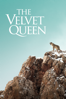 The Velvet Queen - Marie Amiguet