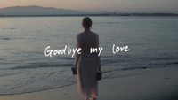 Goodbye My Love