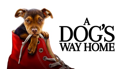 A Dog's Way Home