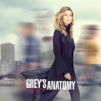 Grey's Anatomy - Nothing Left to Cling To artwork