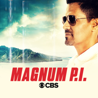 Magnum P.I. - Payback for Beginners artwork