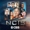 NCIS - NCIS, Season 17  artwork