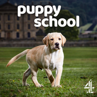 Puppy School - Episode 1 artwork