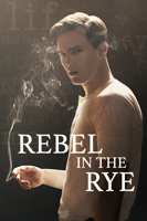 Danny Strong - Rebel in the Rye artwork