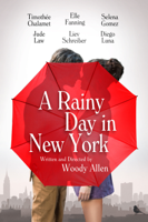 Woody Allen - A Rainy Day in New York artwork