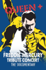 Queen - The Freddie Mercury Tribute Concert 10th Anniversary Documentary - David Mallet