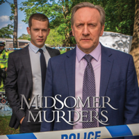 Midsomer Murders - The Point of Balance artwork