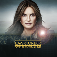 Law & Order: Special Victims Unit - I'm Going to Make You a Star artwork