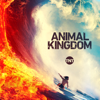 Animal Kingdom - Julia  artwork