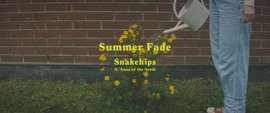 Summer Fade (feat. Anna of the North) Snakehips Pop Music Video 2019 New Songs Albums Artists Singles Videos Musicians Remixes Image
