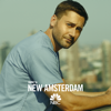 New Amsterdam - New Amsterdam, Season 2  artwork