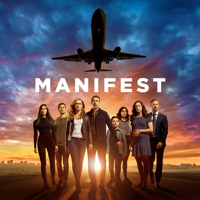 Manifest - Grounded artwork