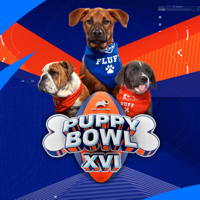 Puppy Bowl - Puppy Bowl XVI artwork