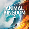 Animal Kingdom - Animal Kingdom, Season 4  artwork