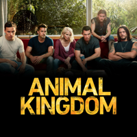 Animal Kingdom - Animal Kingdom, Season 4 artwork