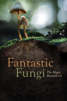 Louie Schwartzberg - Fantastic Fungi artwork