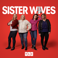 Sister Wives - Being Strong or Being a Bitch artwork