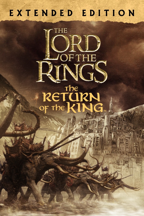 Lord of the ring return of the king как играть вдвоем