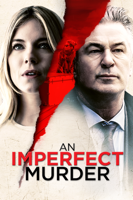 James Toback - An Imperfect Murder artwork