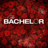 The Bachelor - 2501  artwork