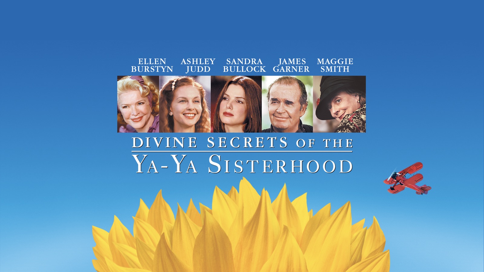 divine sisterhood of the ya ya book