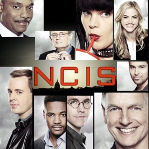 NCIS, Saison 15 - Episode 18