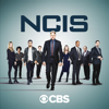 NCIS - NCIS, Season 18  artwork