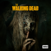 The Walking Dead - Omega artwork