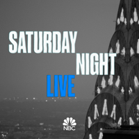 Saturday Night Live - Maya Rudolph - March 27, 2021 artwork