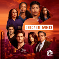 Chicago Med - So Many Things We've Kept Buried artwork