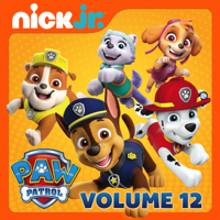 PAW Patrol - Mighty Pups, Charged Up: Pups Stop a Big Bad Bot / Mighty Pups, Charged Up: Mighty Pups Versus the Dome artwork