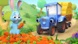 Le petit tracteur bleu