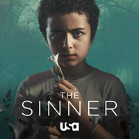 The Sinner - The Sinner, Season 2 artwork
