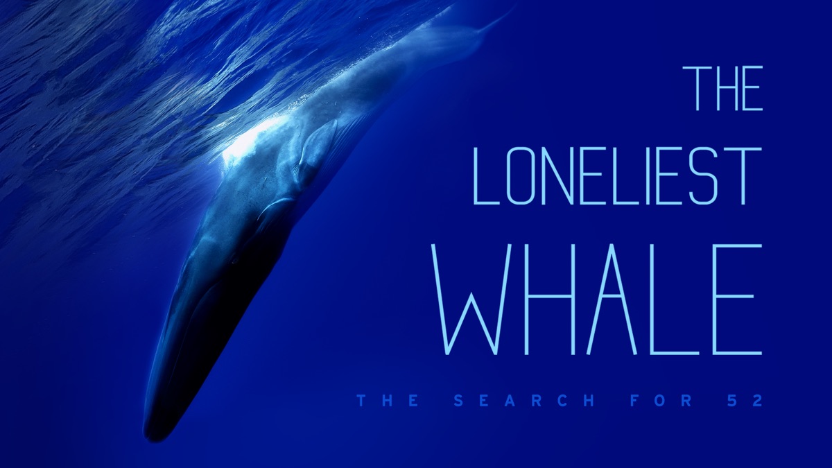 The Loneliest Whale: The Search for 52 | Apple TV