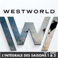 Télécharger Westworld, l’intégrale des saisons 1 et 2 (VF & VOST) - HBO Episode 105