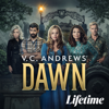 VC Andrews' Dawn - Part 2: Secrets of the Morning artwork