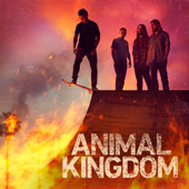 Animal Kingdom, Season 6 - Animal Kingdom Cover Art