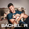 The Bachelor - The Bachelor, Season 26  artwork
